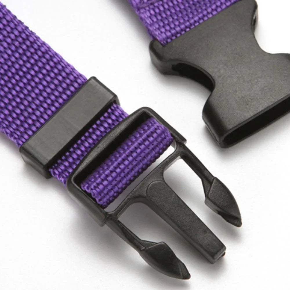 Adjustable Pet Car Seat Belt Safety Harness Leash Lead for Dogs Cats Dog Collars and Leashes Pet Accessories