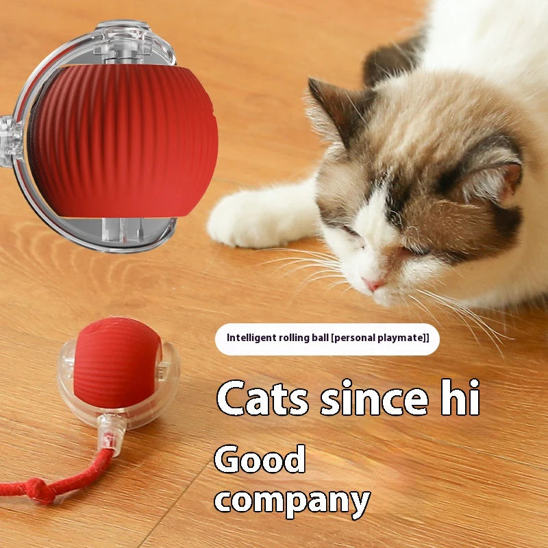 New Electric Cat Ball Toys Automatic Rolling Ball With Teaser Bird Cat Toys Pet Interactive Smart  Sensor Rechargeable Cat Toys