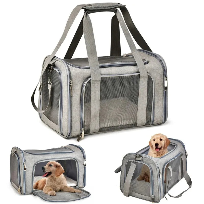 Pet Carrier