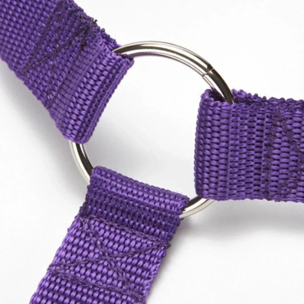 Adjustable Pet Car Seat Belt Safety Harness Leash Lead for Dogs Cats Dog Collars and Leashes Pet Accessories