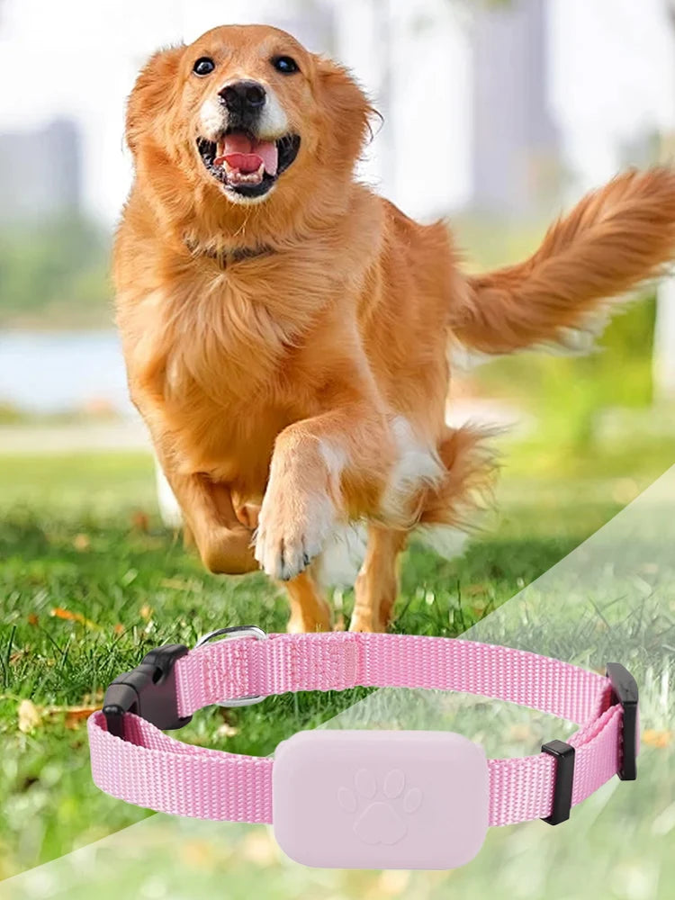 Pet GPS Tracker with Adjustable Collar Smart Pet Locator Cat Tracker for Cats and Dogs