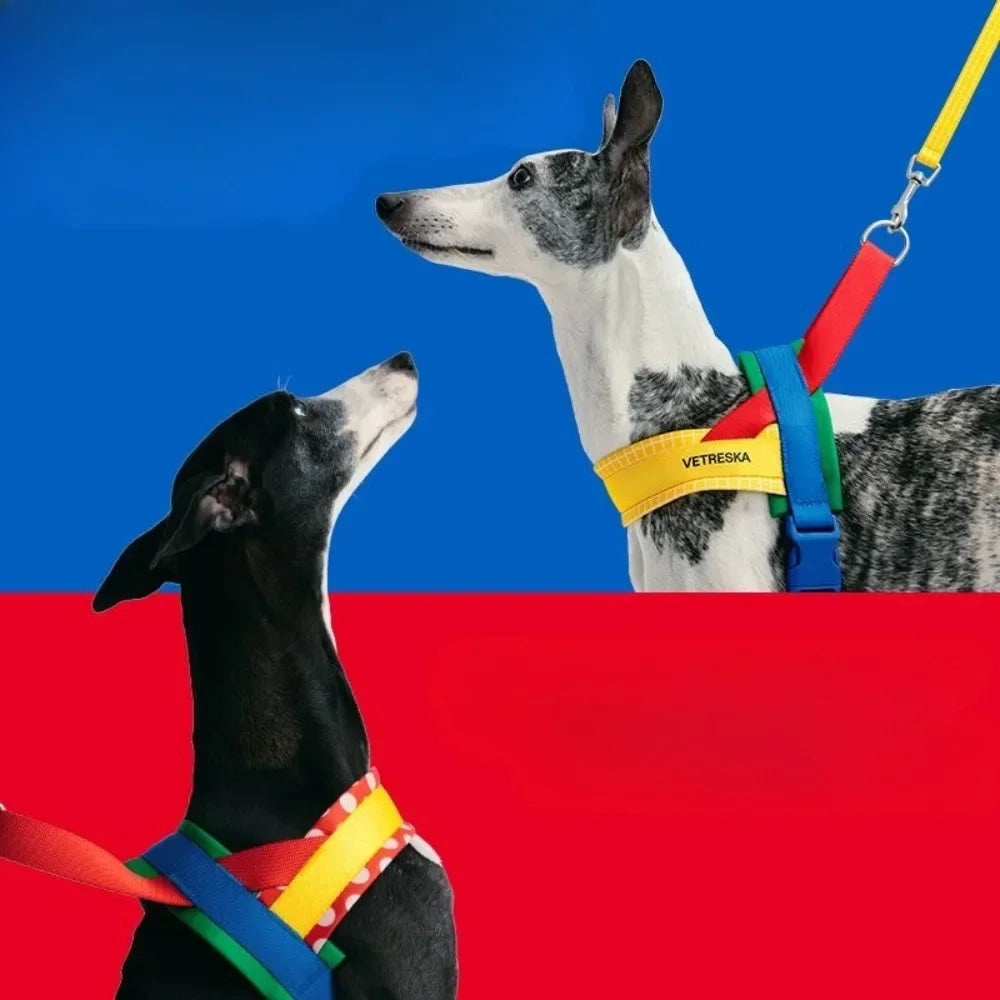 Terylene Pets Dog Chest Harness Traction Rope Set Walking Dogs Leash Rope Large Size Adjustable Harnesses Pet Products