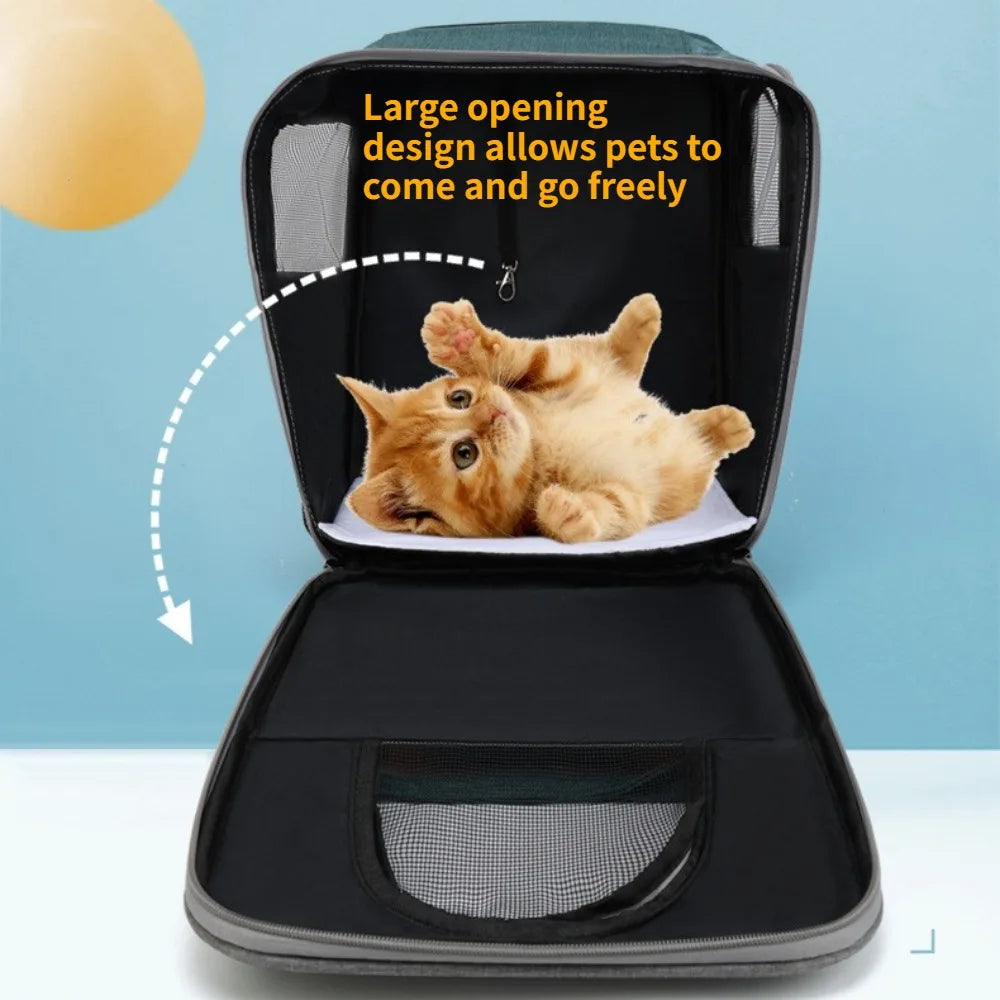 Wear-resistant Cat Backpack Pet Carrier Double Shoulder Bag for Outdoor Travel Portable Pet Bag
