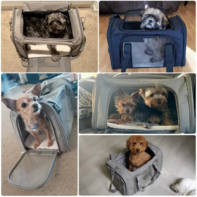 Pet Carrier