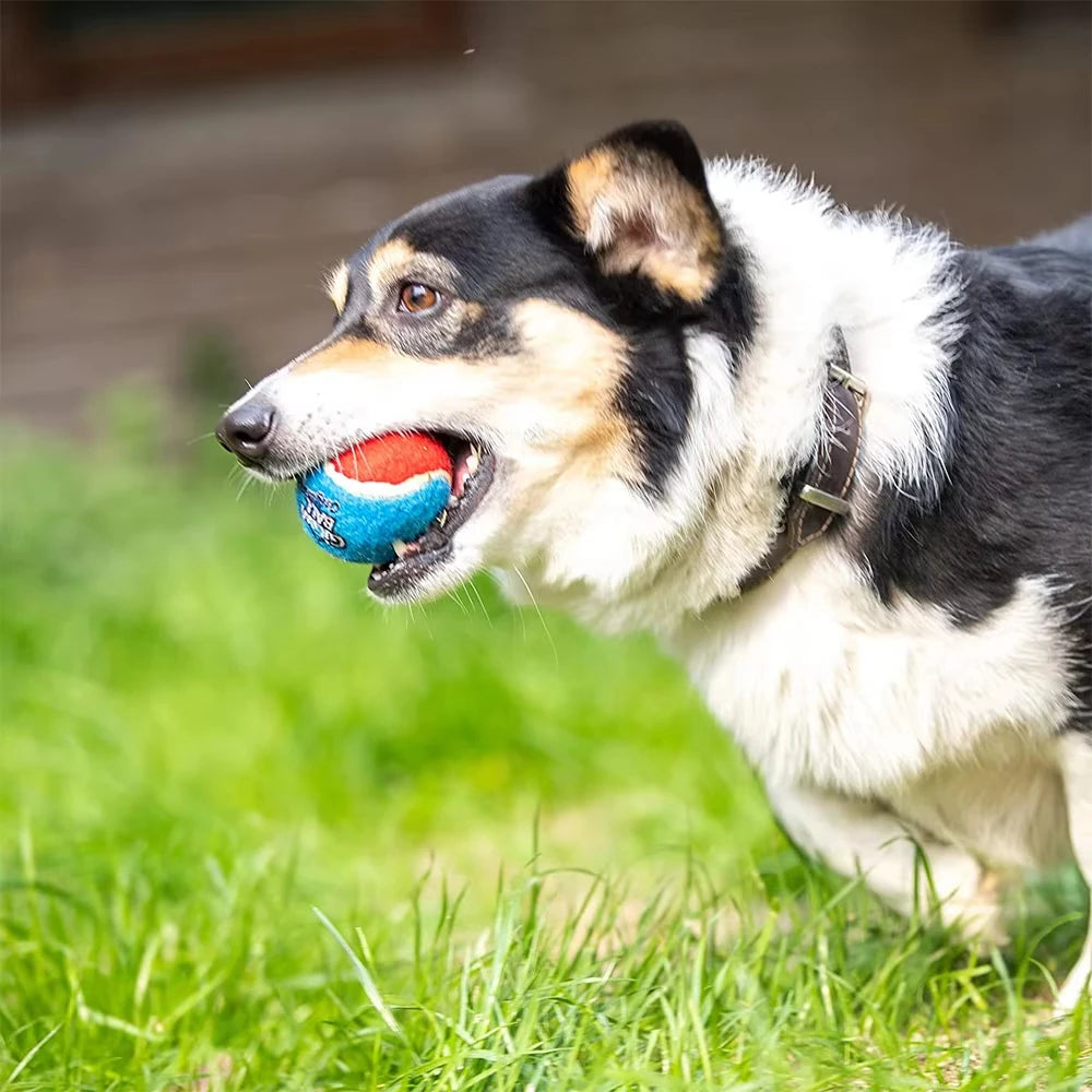 OUZEY 4Pcs/Set Pets Dog Squeaky Tennis Ball Toys Bite Resistant High Bounce Sound Rubber Ball for Small Medium Dogs Training Toy